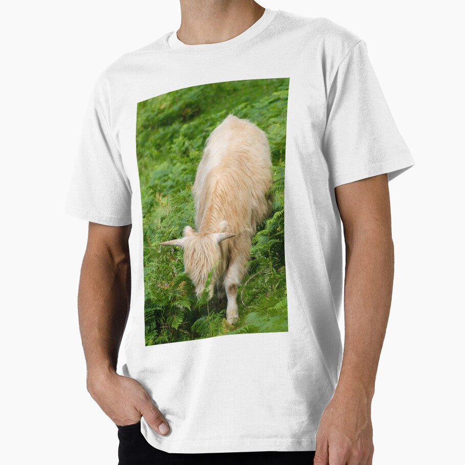 highland cow 2 by mjoffe