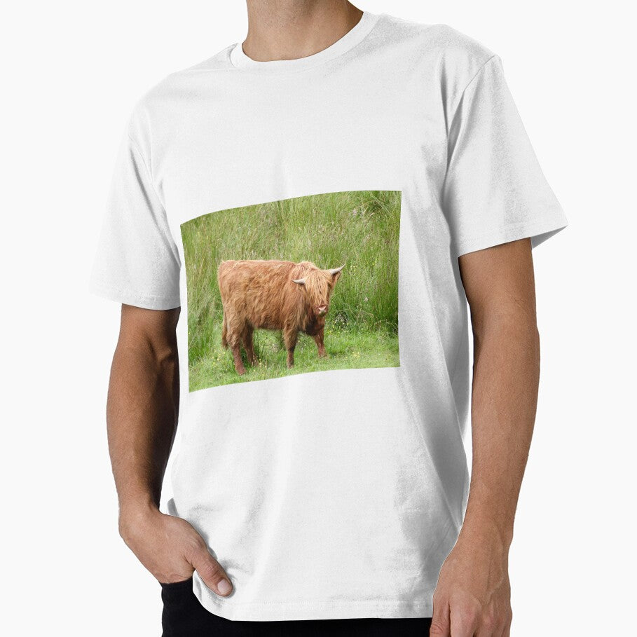 highland cow 5 by mjoffe