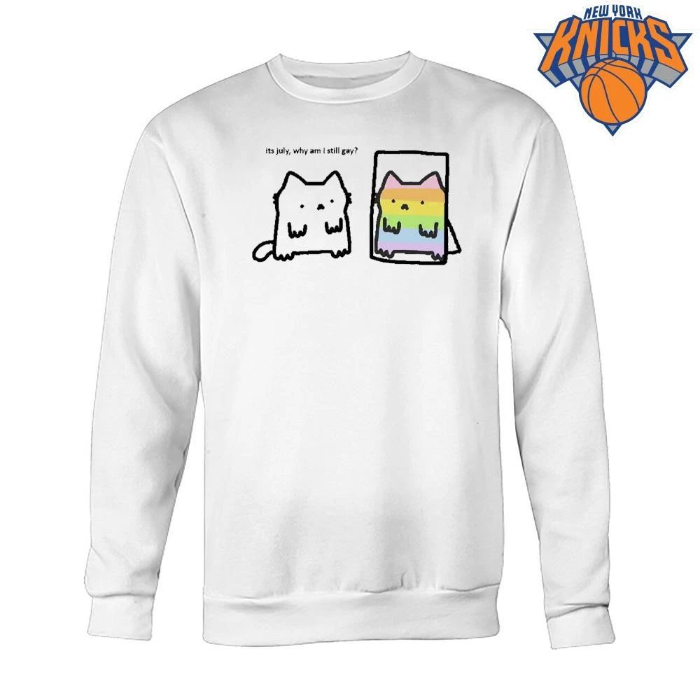Its July Why Am I Still Gay Rainbow Cat Pride Meme Shirt