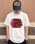 Louisville Cardinals Zach Bryan With Heaven On Tour 2026 graphic shirt