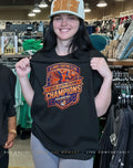 Illinois Fighting Illini 2026 South Region Champions The Road Continues shirt