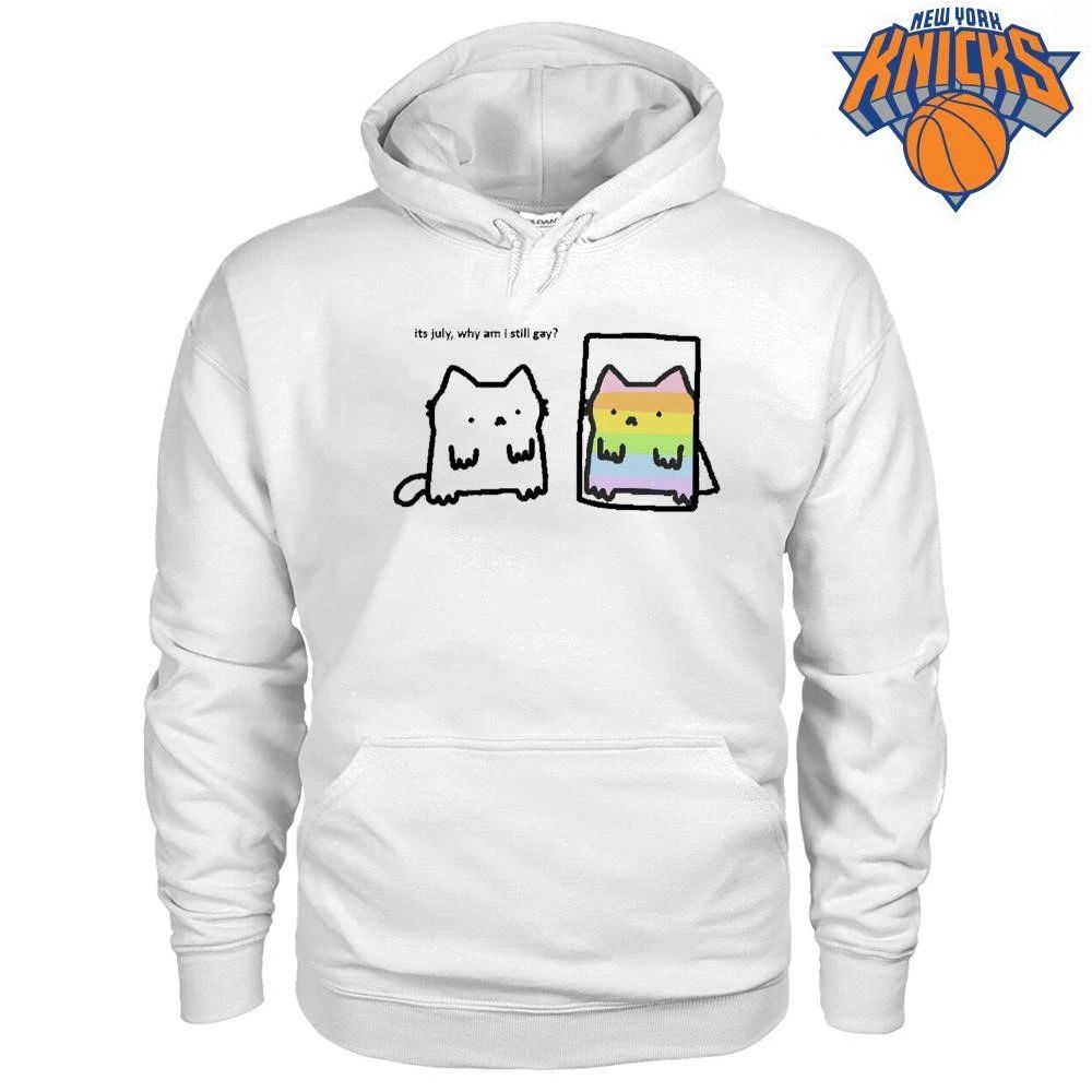 Its July Why Am I Still Gay Rainbow Cat Pride Meme Shirt
